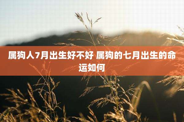 属狗人7月出生好不好 属狗的七月出生的命运如何