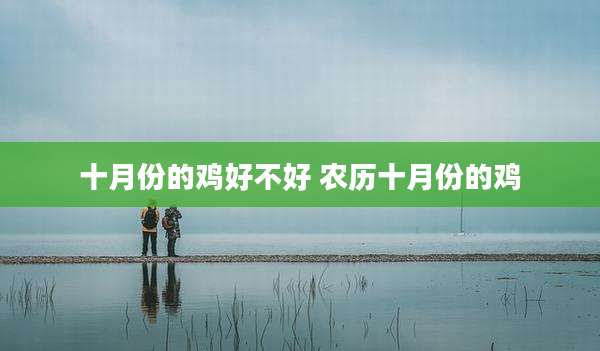 十月份的鸡好不好 农历十月份的鸡
