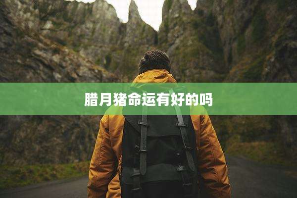 腊月猪命运有好的吗