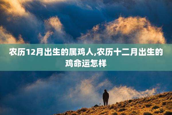 农历12月出生的属鸡人,农历十二月出生的鸡命运怎样