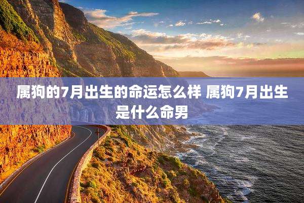 属狗的7月出生的命运怎么样 属狗7月出生是什么命男