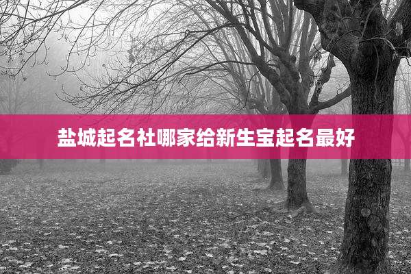 盐城起名社哪家给新生宝起名最好