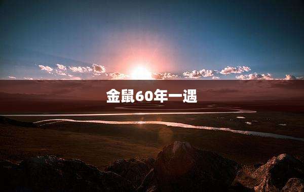 金鼠60年一遇