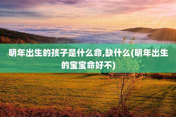 明年出生的孩子是什么命,缺什么(明年出生的宝宝命好不)