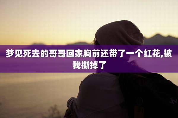 梦见死去的哥哥回家胸前还带了一个红花,被我撕掉了