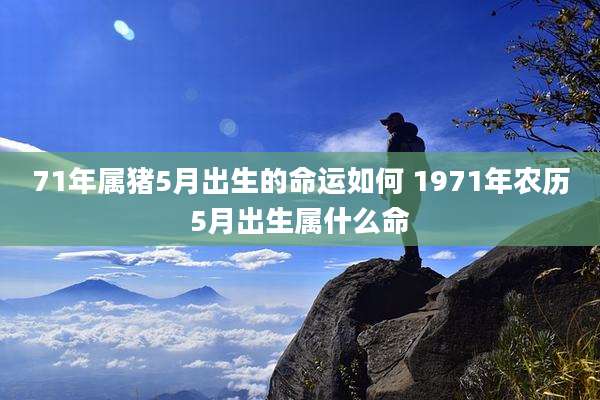 71年属猪5月出生的命运如何 1971年农历5月出生属什么命
