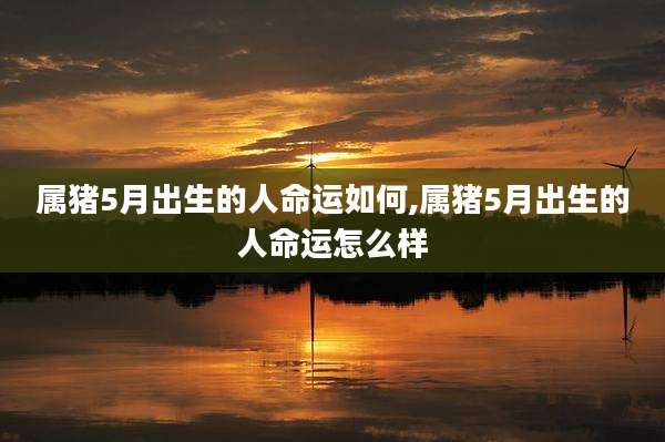 属猪5月出生的人命运如何,属猪5月出生的人命运怎么样