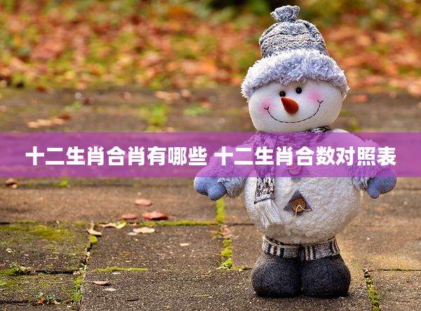 十二生肖合肖有哪些 十二生肖合数对照表