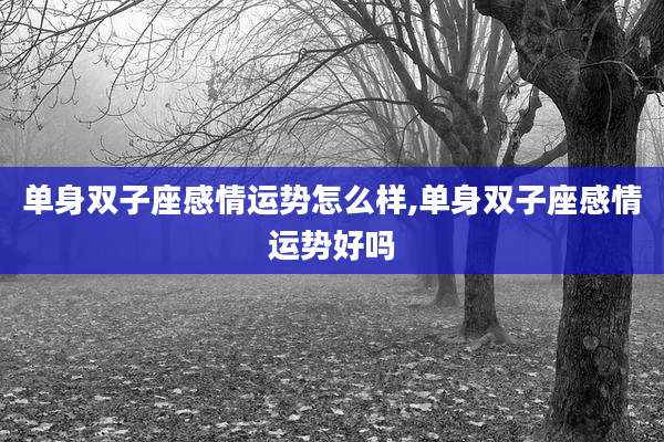 单身双子座感情运势怎么样,单身双子座感情运势好吗