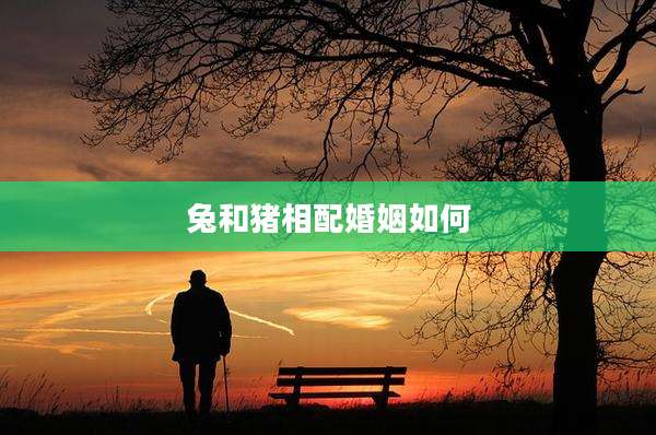 兔和猪相配婚姻如何
