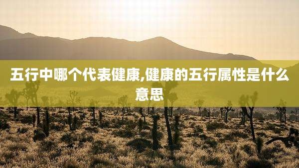 五行中哪个代表健康,健康的五行属性是什么意思
