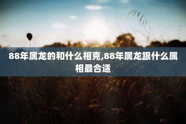 88年属龙的和什么相克,88年属龙跟什么属相最合适