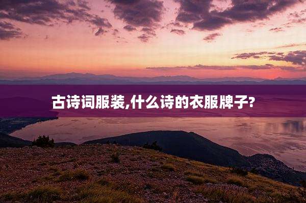 古诗词服装,什么诗的衣服牌子?