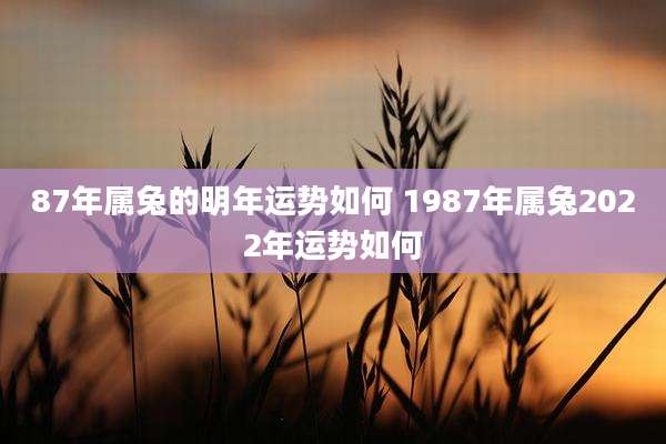 87年属兔的明年运势如何 1987年属兔2022年运势如何