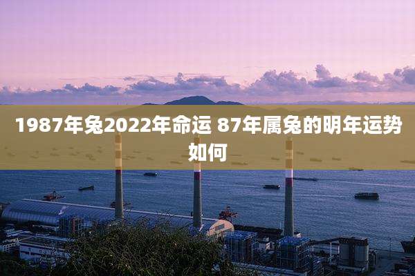 1987年兔2022年命运 87年属兔的明年运势如何