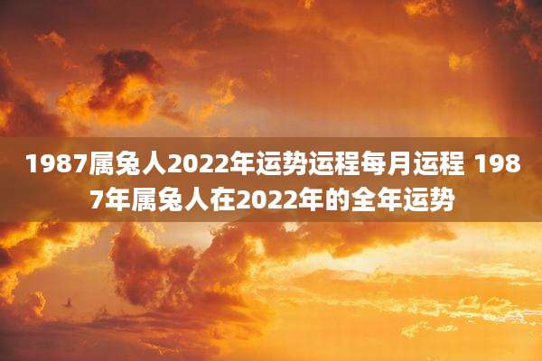 1987属兔人2022年运势运程每月运程 1987年属兔人在2022年的全年运势