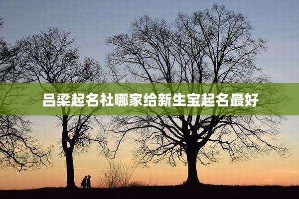 吕梁起名社哪家给新生宝起名最好