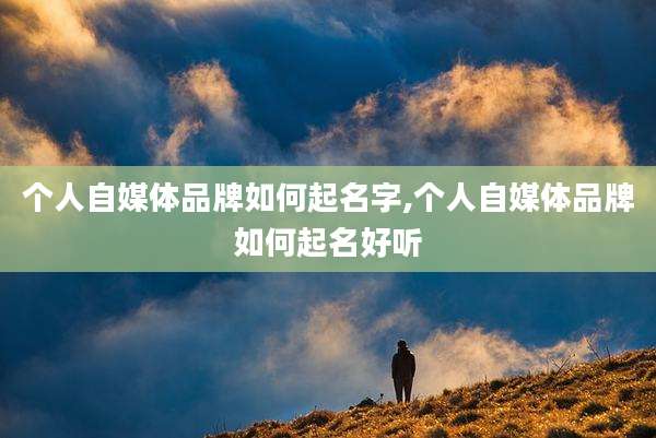 个人自媒体品牌如何起名字,个人自媒体品牌如何起名好听