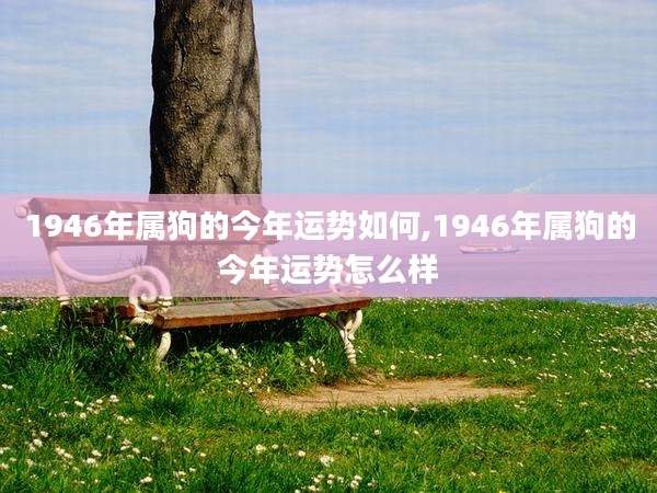 1946年属狗的今年运势如何,1946年属狗的今年运势怎么样