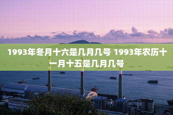 1993年冬月十六是几月几号 1993年农历十一月十五是几月几号