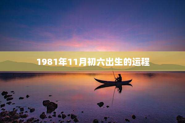 1981年11月初六出生的运程