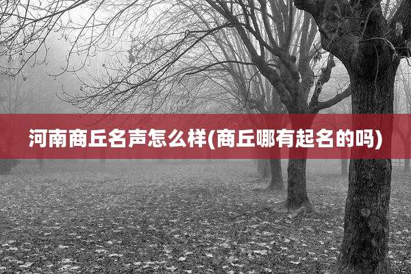 河南商丘名声怎么样(商丘哪有起名的吗)