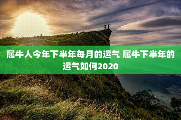 属牛人今年下半年每月的运气 属牛下半年的运气如何2020