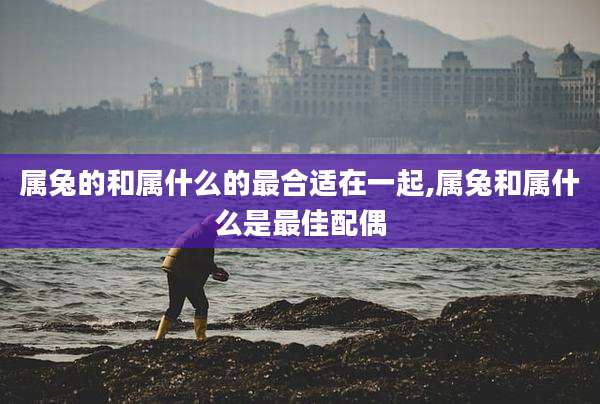 属兔的和属什么的最合适在一起,属兔和属什么是最佳配偶
