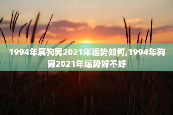 1994年属狗男2021年运势如何,1994年狗男2021年运势好不好