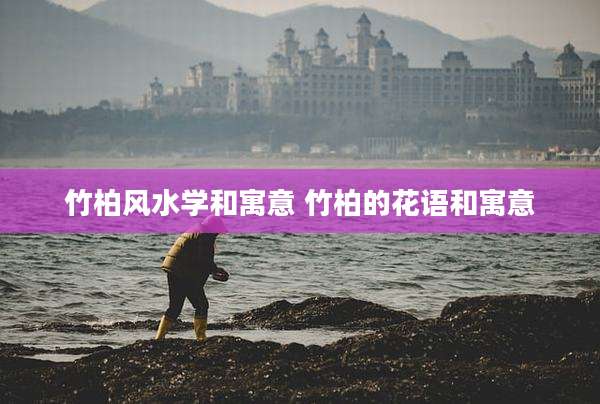 竹柏风水学和寓意 竹柏的花语和寓意