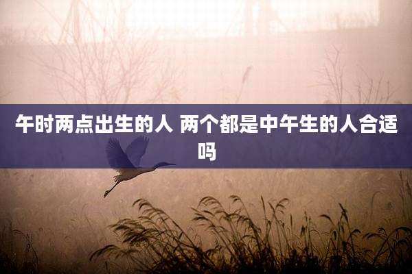 午时两点出生的人 两个都是中午生的人合适吗