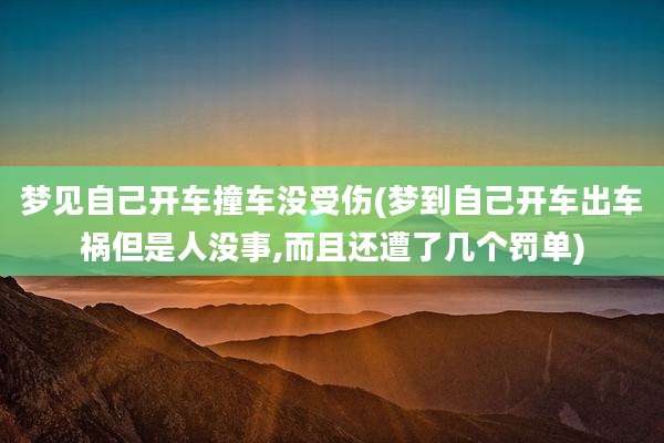梦见自己开车撞车没受伤(梦到自己开车出车祸但是人没事,而且还遭了几个罚单)