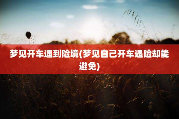 梦见开车遇到险境(梦见自己开车遇险却能避免)