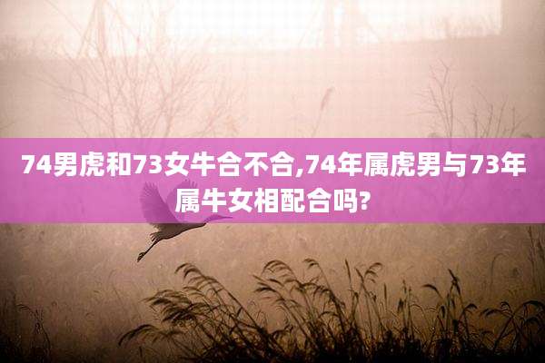 74男虎和73女牛合不合,74年属虎男与73年属牛女相配合吗?