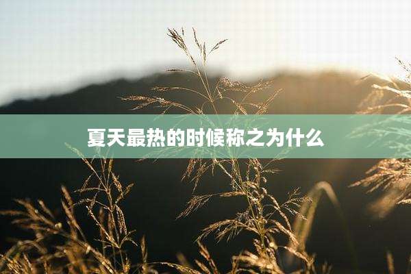 夏天最热的时候称之为什么