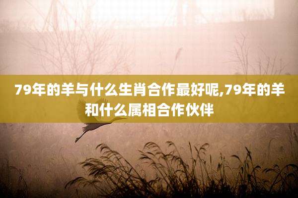 79年的羊与什么生肖合作最好呢,79年的羊和什么属相合作伙伴