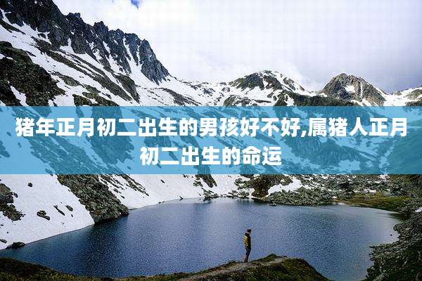 猪年正月初二出生的男孩好不好,属猪人正月初二出生的命运