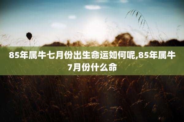 85年属牛七月份出生命运如何呢,85年属牛7月份什么命