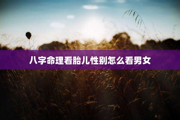 八字命理看胎儿性别怎么看男女