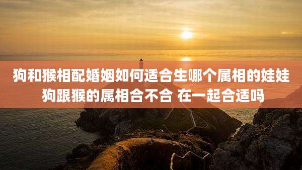 狗和猴相配婚姻如何适合生哪个属相的娃娃 狗跟猴的属相合不合 在一起合适吗