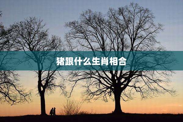 猪跟什么生肖相合
