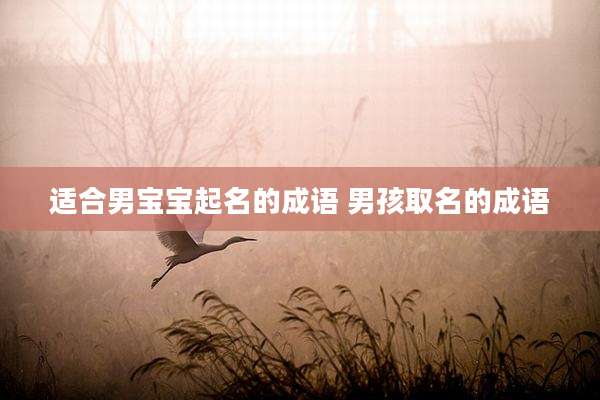 适合男宝宝起名的成语 男孩取名的成语