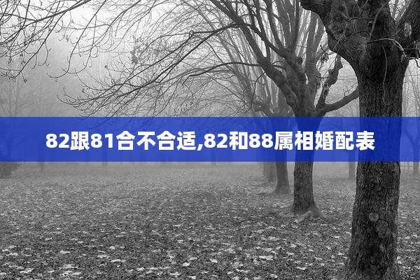 82跟81合不合适,82和88属相婚配表