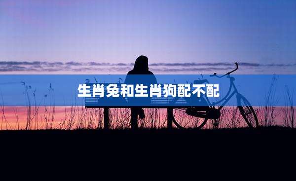 生肖兔和生肖狗配不配
