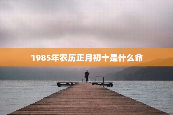 1985年农历正月初十是什么命