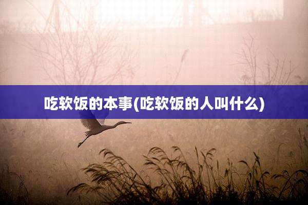 吃软饭的本事(吃软饭的人叫什么)