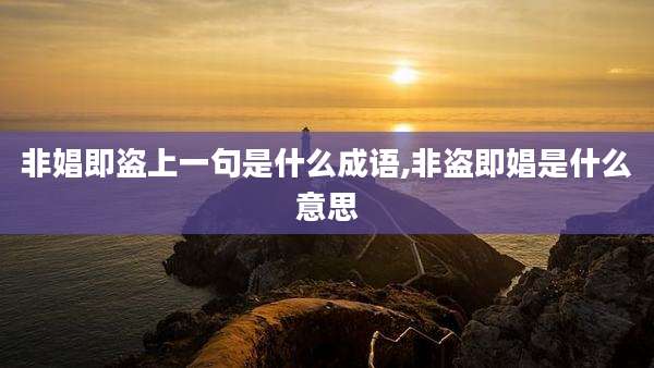 非娼即盗上一句是什么成语,非盗即娼是什么意思