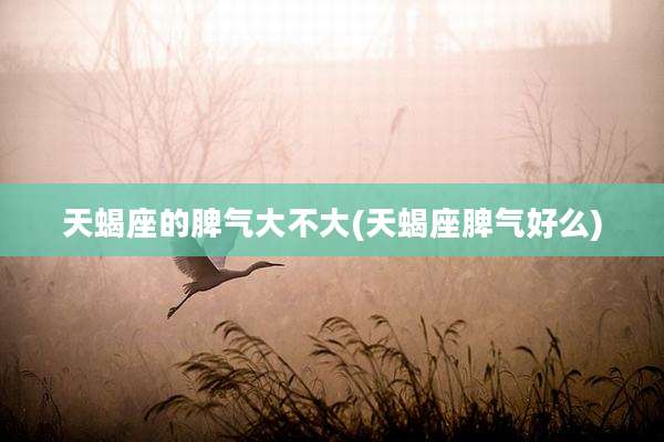 天蝎座的脾气大不大(天蝎座脾气好么)