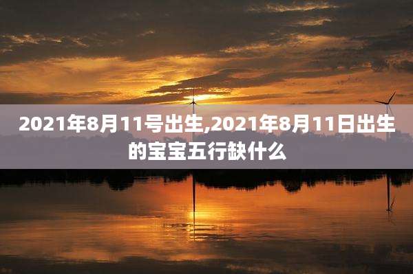 2021年8月11号出生,2021年8月11日出生的宝宝五行缺什么