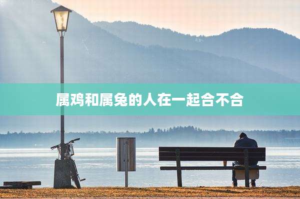 属鸡和属兔的人在一起合不合
